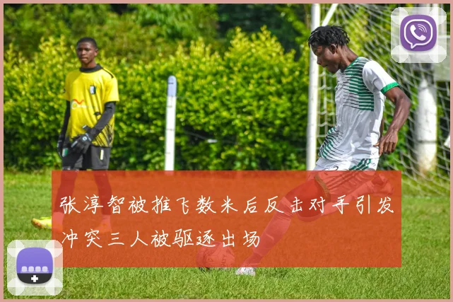张淳智被推飞数米后反击对手引发冲突三人被驱逐出场